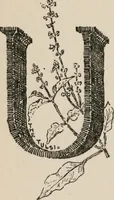 Picture 20 of 43 from The mystics, ascetics, and saints of India : a study of Sadhuism, with an account of the Yogis, Sanyasis, Bairagis, and other strange Hindu sectarians (1905), leaf 159
