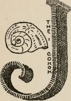Picture 25 of 43 from The mystics, ascetics, and saints of India : a study of Sadhuism, with an account of the Yogis, Sanyasis, Bairagis, and other strange Hindu sectarians (1905), leaf 209
