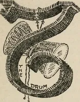 An illustration from The mystics, ascetics, and saints of India : a study of Sadhuism, with an account of the Yogis, Sanyasis, Bairagis, and other strange Hindu sectarians (1905)