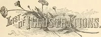 An illustration from My story of the war : a woman's narrative of four years personal experience as nurse in the Union Army : and in relief work at home, in hospitals, camps, and at the front, during the war of the rebellion : with anecdotes, pathetic incidents, and thrilling reminiscences portraying the lights and shadows of hospital life and the sanitary services of the war (1890)