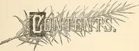 An illustration from My story of the war : a woman's narrative of four years personal experience as nurse in the Union Army : and in relief work at home, in hospitals, camps, and at the front, during the war of the rebellion : with anecdotes, pathetic incidents, and thrilling reminiscences portraying the lights and shadows of hospital life and the sanitary services of the war (1890)