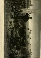 An illustration from My story of the war: a woman's narrative of four years personal experience as nurse in the Union army, and in relief work at home, in hospitals, camps, and at the front, during the war of the rebellion... (1889)