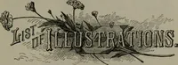 An illustration from My story of the war: a woman's narrative of four years personal experience as nurse in the Union army, and in relief work at home, in hospitals, camps, and at the front, during the war of the rebellion (1889)