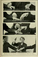 Picture 17 of 29 from Mystrious psychic forces; an account of the author's invesigations in psychical research, together with those of other European savants (1907), leaf 260