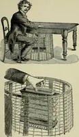 An illustration from Mystrious psychic forces; an account of the author's invesigations in psychical research, together with those of other European savants (1907)