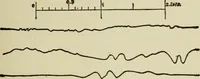 An illustration from Mystrious psychic forces; an account of the author's invesigations in psychical research, together with those of other European savants (1907)