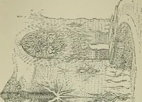 An illustration from Mystrious psychic forces; an account of the author's invesigations in psychical research, together with those of other European savants (1907)