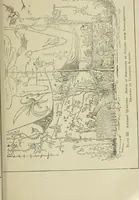 An illustration from Mystrious psychic forces; an account of the author's invesigations in psychical research, together with those of other European savants (1907)