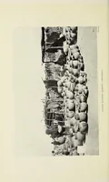 An illustration from My Sudan year (1912)