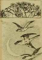 An illustration from Mythological Japan : the symbolisms of mythology in relation to Japanese art, with illustrations drawn in Japan, by native artists (1902)