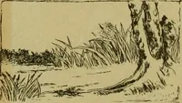 An illustration from Mythological Japan : the symbolisms of mythology in relation to Japanese art, with illustrations drawn in Japan, by native artists (1902)