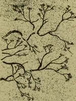 An illustration from Mythological Japan : the symbolisms of mythology in relation to Japanese art, with illustrations drawn in Japan, by native artists (1902)