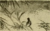 An illustration from Mythological Japan : the symbolisms of mythology in relation to Japanese art, with illustrations drawn in Japan, by native artists (1902)