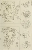 An illustration from Mythologische Gallerie; eine Sammlung von mehr als 750 antiken Denkmälern, Statuen, geschnittenen Steinen, Münzen und Gemälden, auf den 191 Original-Kupferblättern der französischen Ausg (1848)