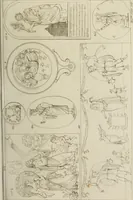 Picture 108 of 223 from Mythologische Gallerie; eine Sammlung von mehr als 750 antiken Denkmälern, Statuen, geschnittenen Steinen, Münzen und Gemälden, auf den 191 Original-Kupferblättern der französischen Ausg (1848), leaf 188