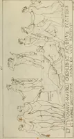 Picture 150 of 223 from Mythologische Gallerie; eine Sammlung von mehr als 750 antiken Denkmälern, Statuen, geschnittenen Steinen, Münzen und Gemälden, auf den 191 Original-Kupferblättern der französischen Ausg (1848), leaf 266