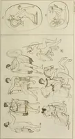 Picture 191 of 223 from Mythologische Gallerie; eine Sammlung von mehr als 750 antiken Denkmälern, Statuen, geschnittenen Steinen, Münzen und Gemälden, auf den 191 Original-Kupferblättern der französischen Ausg (1848), leaf 338