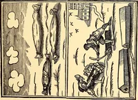 An illustration from Myths and marvels of astronomy (1878)