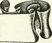 An illustration from Canadian textile journal (1908)