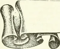 An illustration from Canadian textile journal (1908)