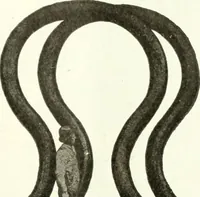 Picture 3 of 40 from Canadian textile journal (1908), leaf 8