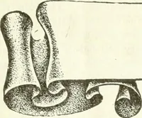 An illustration from Canadian textile journal (1908)