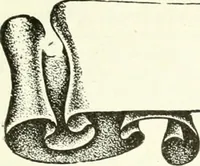 An illustration from Canadian textile journal (1908)