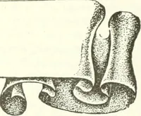 An illustration from Canadian textile journal (1908)