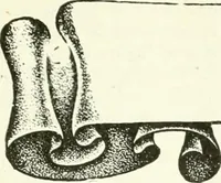 An illustration from Canadian textile journal (1908)