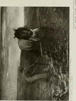 An illustration from The craftsman (1901)