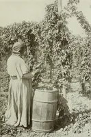 Picture 65 of 174 from The craftsman (1901), leaf 152