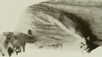 An illustration from The craftsman (1901)