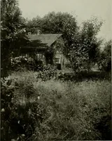 An illustration from The craftsman (1901)