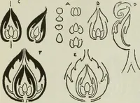 An illustration from The craftsman (1901)