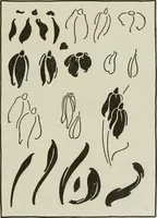 An illustration from The craftsman (1901)