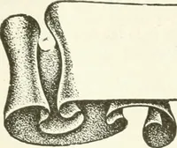 An illustration from Canadian textile journal (1908)