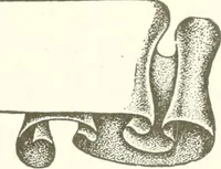 An illustration from Canadian textile journal (1908)