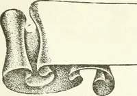 An illustration from Canadian textile journal (1908)