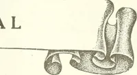 An illustration from Canadian textile journal (1908)