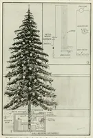 An illustration from The Electrical experimenter (1917)