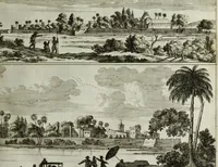 Picture 16 of 71 from Naauwkeurige beschryvinge van Malabar en Choromandel, der zelver aangrenzende ryken, en het machtige eyland Ceylon : nevens een omstandige en grondigh doorzochte ontdekking en wederlegginge van de afgoderye der Oost-Indische heydenen ... (1672), leaf 153