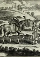 Picture 71 of 71 from Naauwkeurige beschryvinge van Malabar en Choromandel, der zelver aangrenzende ryken, en het machtige eyland Ceylon : nevens een omstandige en grondigh doorzochte ontdekking en wederlegginge van de afgoderye der Oost-Indische heydenen ... (1672), leaf 731
