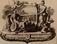 An illustration from Naauwkeurige beschryving der aardgewassen, waar in de veelerley aart en bijzondere eigenschappen der boomen, heesters, kruyden, bloemen, met haare vrugten, zaden, wortelen en bollen, neevens derzelver waare voort-teeling, gelukkige aanwinning, en heylzaame genees-krachten ... beschreeven worden; (1696)