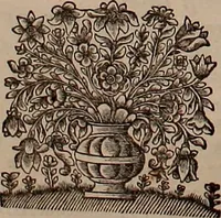 An illustration from Naauwkeurige beschryving der aardgewassen, waar in de veelerley aart en bijzondere eigenschappen der boomen, heesters, kruyden, bloemen, met haare vrugten, zaden, wortelen en bollen, neevens derzelver waare voort-teeling, gelukkige aanwinning, en heylzaame genees-krachten ... beschreeven worden; (1696)