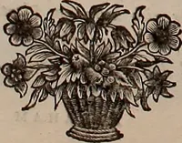 An illustration from Naauwkeurige beschryving der aardgewassen, waar in de veelerley aart en bijzondere eigenschappen der boomen, heesters, kruyden, bloemen, met haare vrugten, zaden, wortelen en bollen, neevens derzelver waare voort-teeling, gelukkige aanwinning, en heylzaame genees-krachten ... beschreeven worden; (1696)