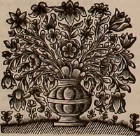 An illustration from Naauwkeurige beschryving der aardgewassen, waar in de veelerley aart en bijzondere eigenschappen der boomen, heesters, kruyden, bloemen, met haare vrugten, zaden, wortelen en bollen, neevens derzelver waare voort-teeling, gelukkige aanwinning, en heylzaame genees-krachten ... beschreeven worden; (1696)