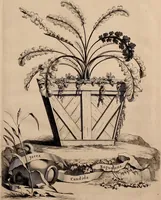 Picture 5 of 66 from Naauwkeurige beschryving der aardgewassen, waar in de veelerley aart en bijzondere eigenschappen der boomen, heesters, kruyden, bloemen, met haare vrugten, zaden, wortelen en bollen, neevens derzelver waare voort-teeling, gelukkige aanwinning, en heylzaame genees-krachten ... beschreeven worden; (1696), leaf 22