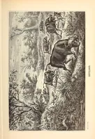 An illustration from Nach den Victoriafällen des Zambesi (1875)