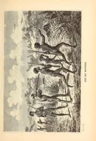 An illustration from Nach den Victoriafällen des Zambesi (1875)