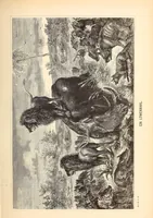 An illustration from Nach den Victoriafällen des Zambesi (1875)
